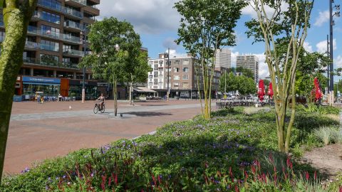 De Binnenrotte in Rotterdam is bekroond tot beste openbare ruimte. FOTO Gemeente Rotterdam
