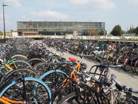 mozaïek Ondeugd Scheiden Te weinig nuance bij oproep aanpak fietsendiefstal' - VerkeersNet