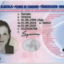 Belgisch rijbewijs dec 2019 BEELD Archief Rijschoolpro