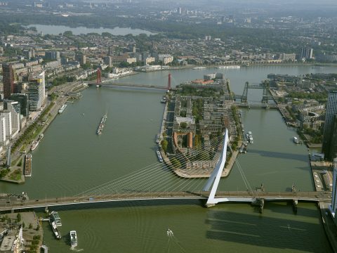 Bruggen Nieuwe Maas Rotterdam