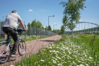 Beeld: een fietspad in Zuid-Holland